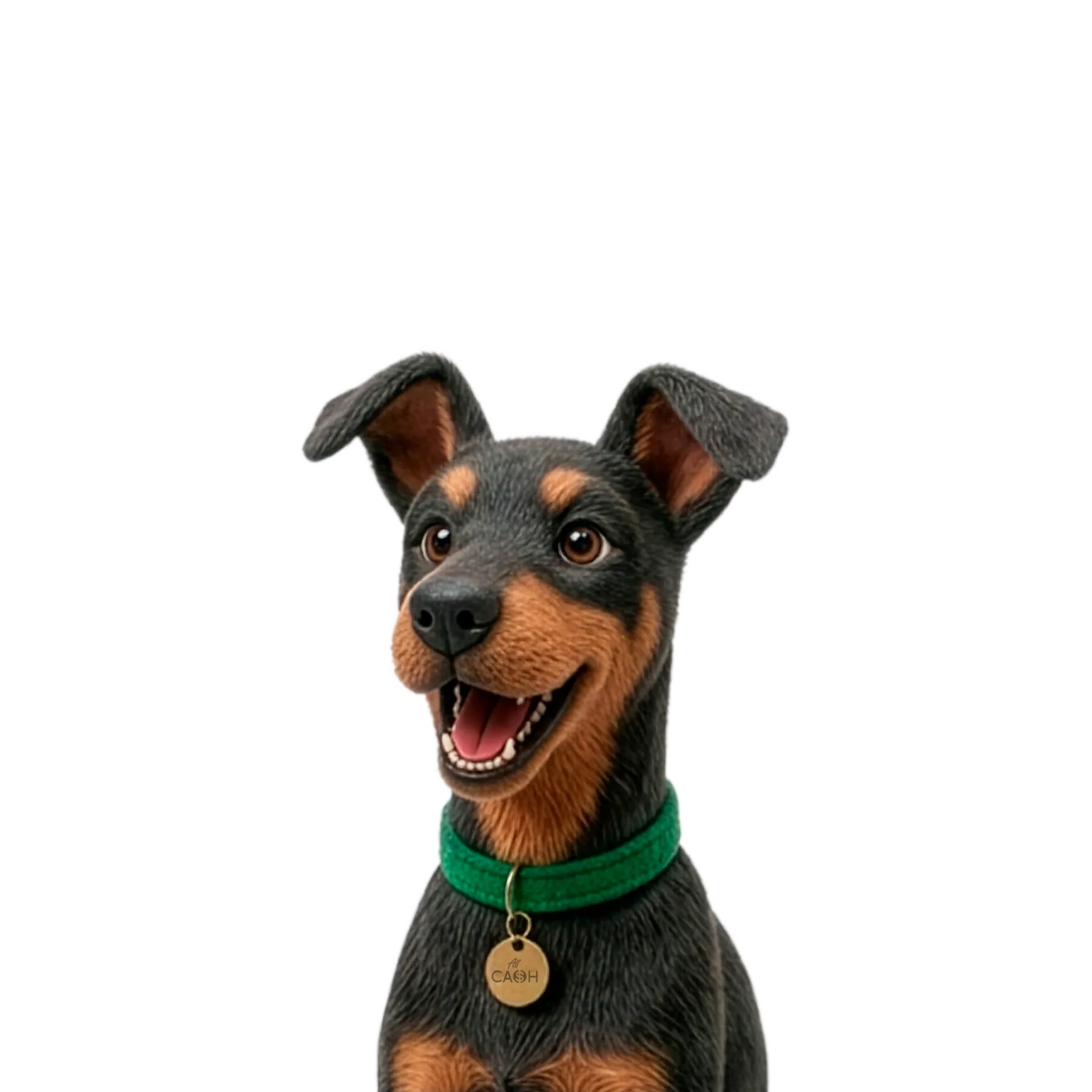 Cashi Mascot